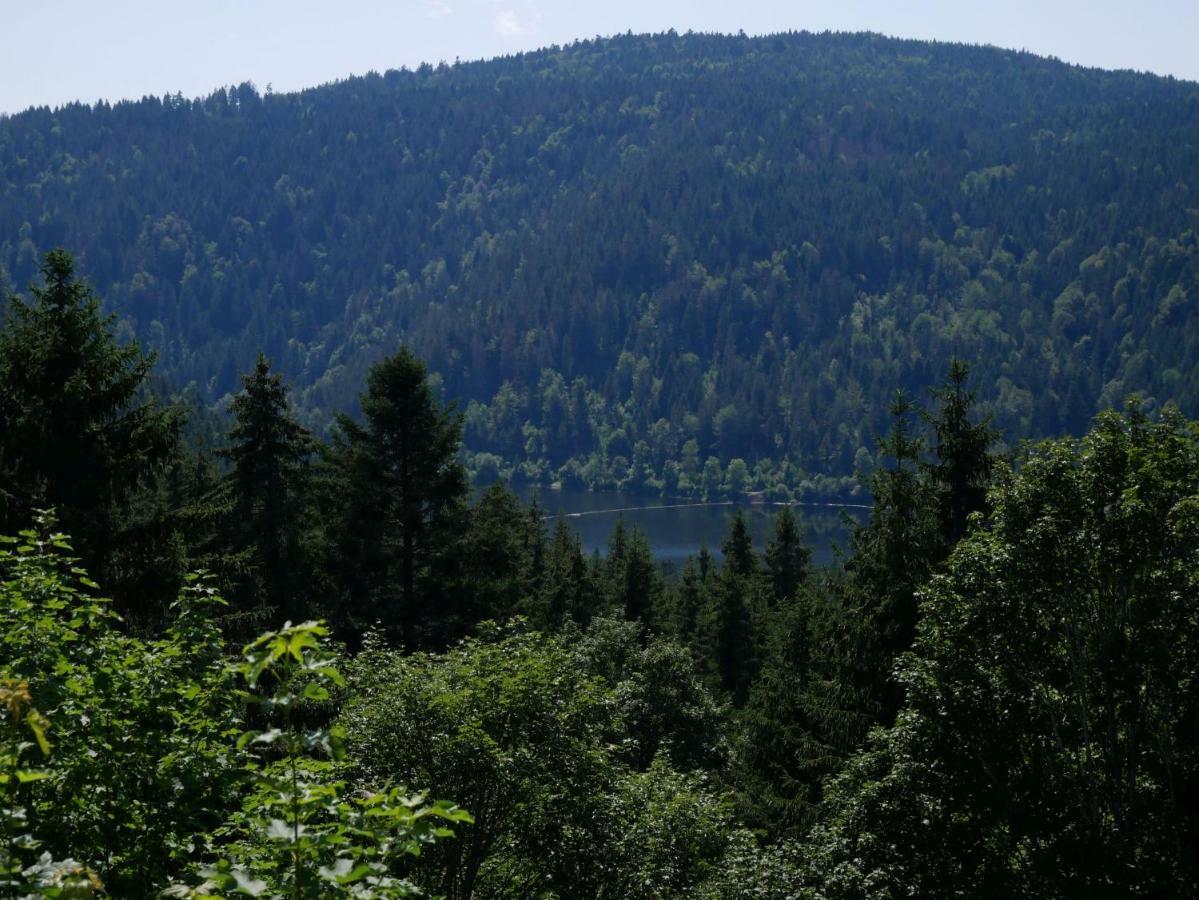 Haus Vita Ferien- Und Seminarhaus Urberg Екстериор снимка