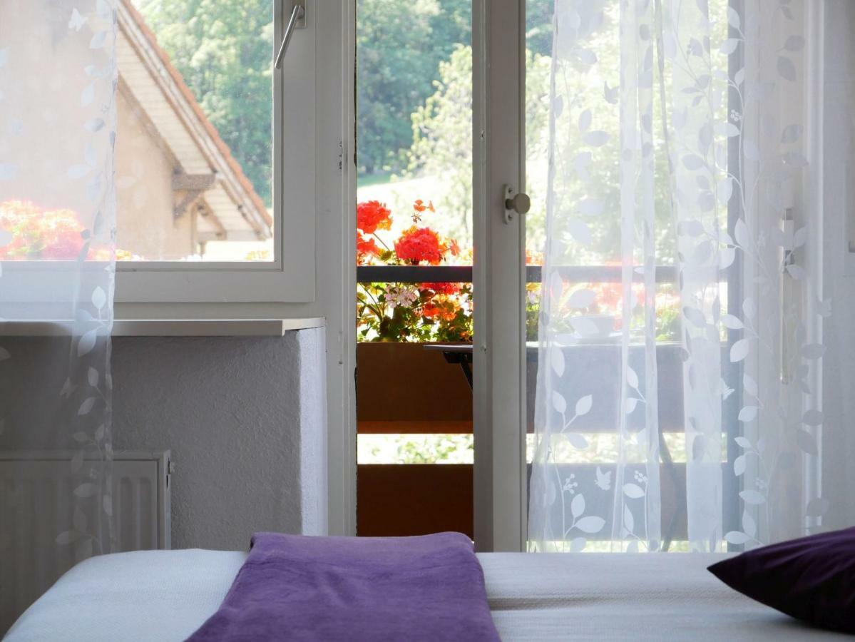 Haus Vita Ferien- Und Seminarhaus Urberg Екстериор снимка