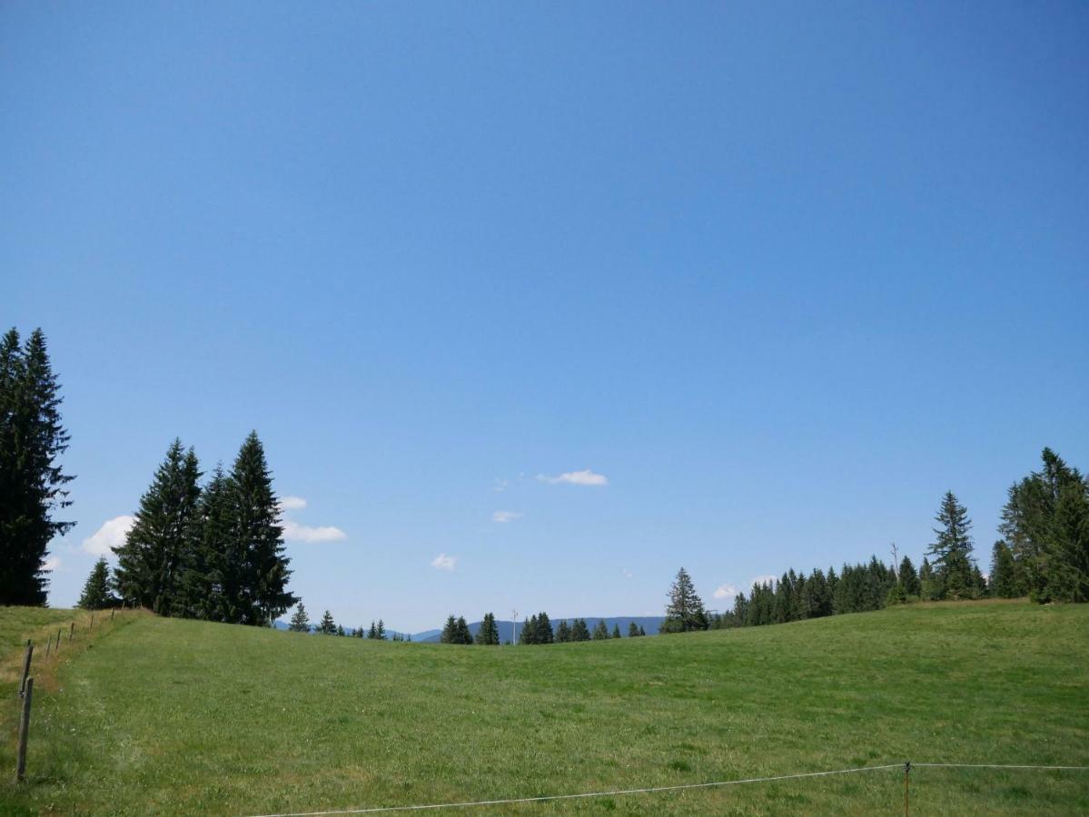 Haus Vita Ferien- Und Seminarhaus Urberg Екстериор снимка